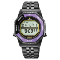 HFL001P1